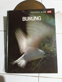 Burung