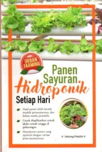 Panen sayuran hidroponik setiap hari